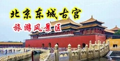 传媒操逼剧情对白正片中国北京-东城古宫旅游风景区